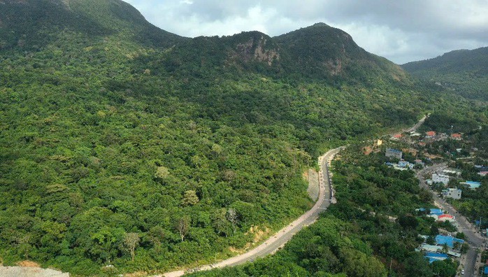 Tuyên truyền, vận động để người dân không tham gia khai thác cây cảnh, cây thuốc từ rừng tự nhiên Côn Đảo