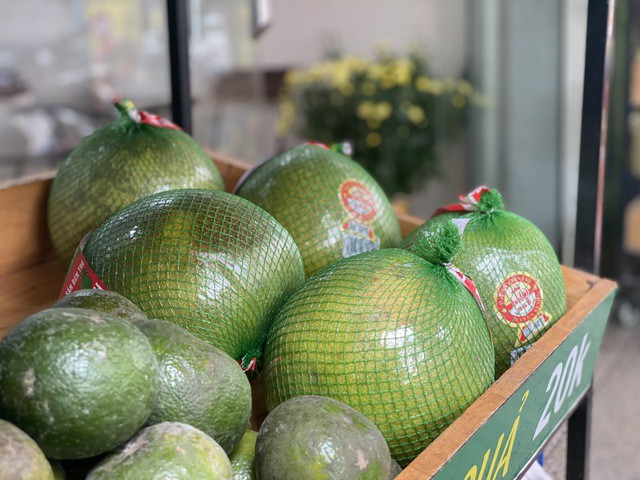 Trái cây của Việt Nam ngày càng có chỗ đứng trên thị trường quốc tế.