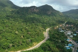 Vụ 42 cây mai vàng: Chỉ đạo mới nhất từ Vườn quốc gia Côn Đảo