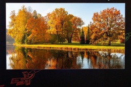 TV SQ-Mini LED lần đầu xuất hiện với độ sáng "khủng" 6.000 nits, bỏ xa Mini LED