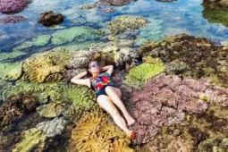 Thực hư việc du khách nằm, ngồi lên san hô để chụp ảnh