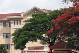 NÓNG: Nhiều trường học TPHCM cảnh báo khẩn lừa đảo suất "bao đậu", "tuyển thẳng" mùa tuyển sinh