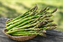 Loại rau được ví là 'nhân sâm' nhưng lại khắc tinh với người bị bệnh gout