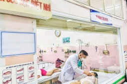 Bánh flan và canh bắp cải khiến 266 học sinh tiểu học ngộ độc