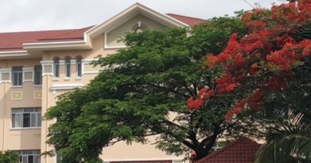 NÓNG: Nhiều trường học TPHCM cảnh báo khẩn lừa đảo suất "bao đậu", "tuyển thẳng" mùa tuyển sinh