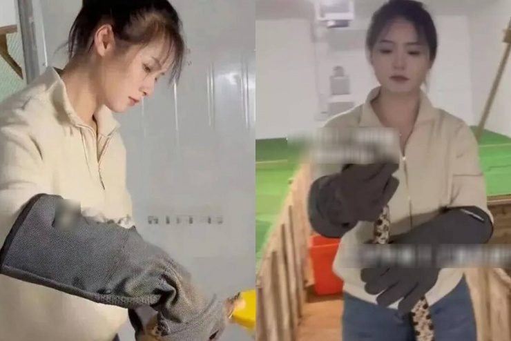 Con gái tốt nghiệp đại học, về làng giúp bố nuôi 60.000 con rắn, kiếm 3,8 tỷ đồng mỗi năm. Ảnh: SCMP