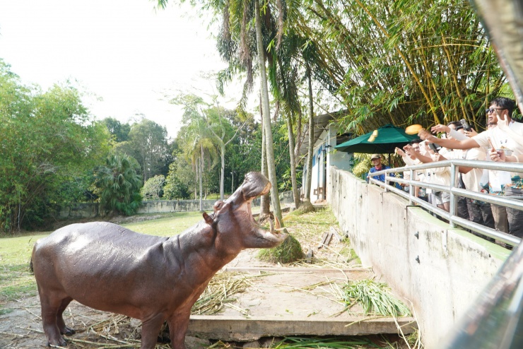 Đi Malaysia dịp 30-4 hết bao nhiêu tiền? Tất tần tật chi phí cho chuyến 5 ngày 4 đêm - 3