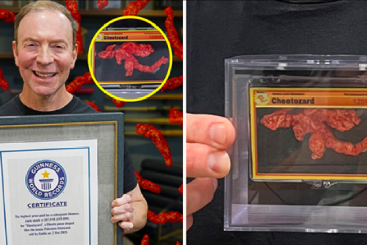 Đấu giá… một miếng bánh