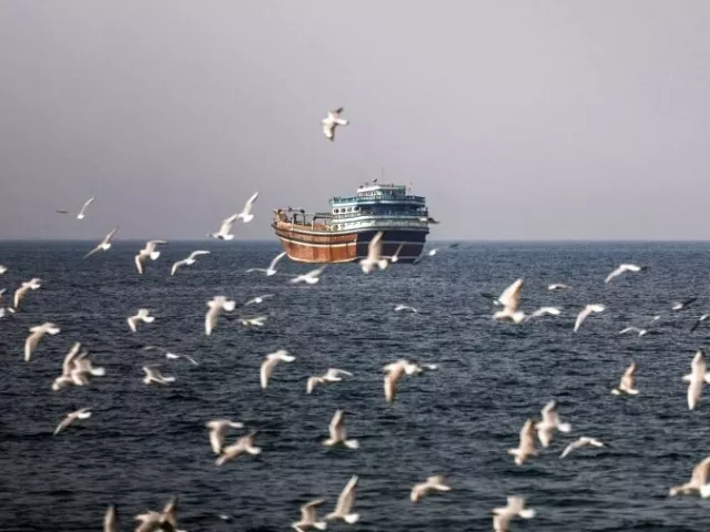 Có gì trên tàu hàng Iran bị Mỹ thu giữ trên Vịnh Oman?