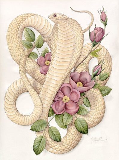 Nửa cuối năm 2026 là thời điểm con giáp Tỵ có thể kiếm tiền khá nhẹ nhàng nhờ lợi thế thông tin, công nghệ hoặc chiến lược thông minh. Ảnh minh họa