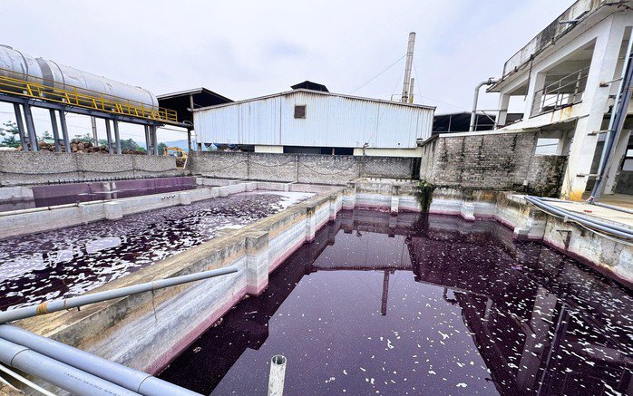 Nước thải b&ecirc;n trong hệ thống xử l&yacute; của C&ocirc;ng ty TNHH BOB H&agrave; Nội ở th&ocirc;n Quảng Trung, x&atilde; Thạch Quảng