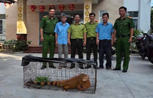 Lan tỏa ý thức bảo vệ động vật hoang dã từ cơ sở