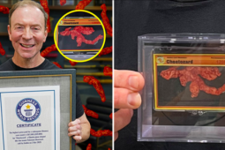 Đấu giá… một miếng bánh