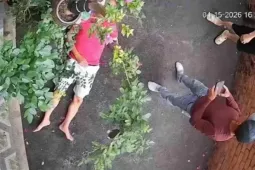 Người đàn ông bị hàng xóm đánh bất tỉnh vì chậu cây