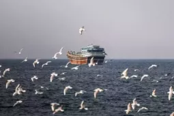 Có gì trên tàu hàng Iran bị Mỹ thu giữ trên Vịnh Oman?