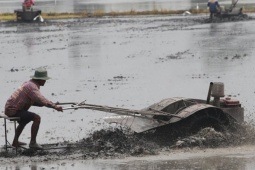 Thái Lan cảnh báo khẩn dịch 'sốt đất' làm 23 người chết