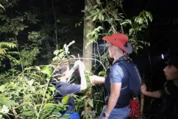 Người dẫn đường kể lại hành trình tìm thấy nam sinh lạc rừng Tam Đảo