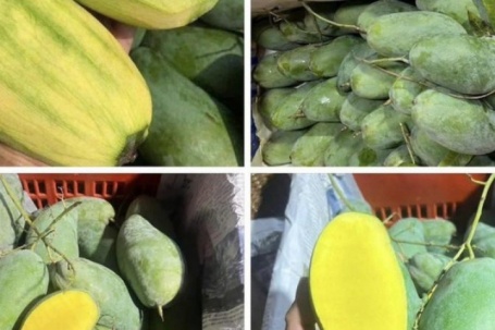 Loại quả Việt đang vào mùa, bán đầy chợ giá chỉ hơn chục nghìn đồng/kg ai đi mua trái cây cũng rinh về