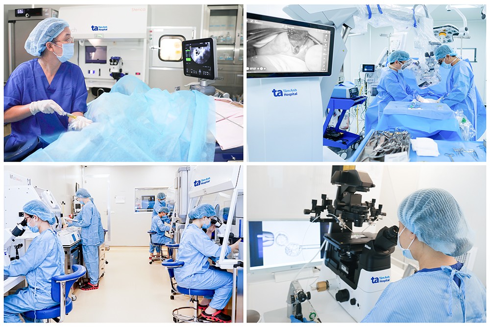 Những "mắt xích" then chốt giúp tối ưu tỷ lệ mang thai và sinh con khỏe mạnh tại IVF Tâm Anh.