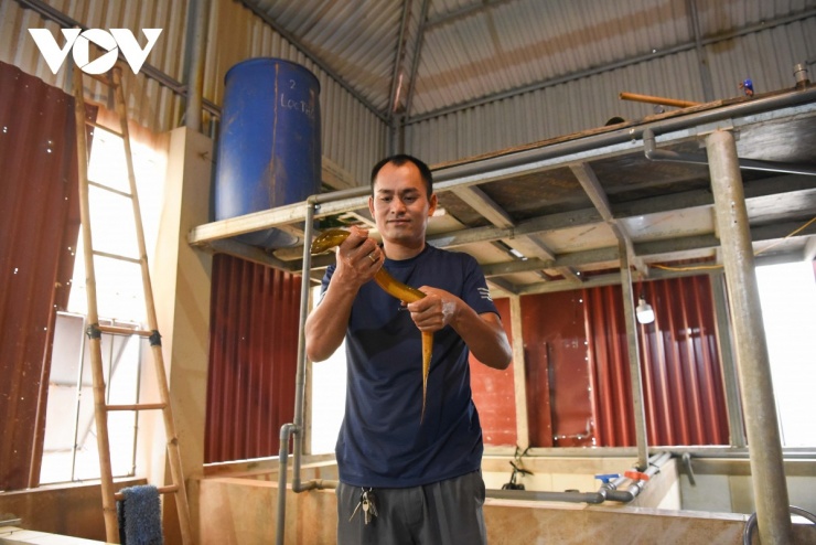 Anh Trần Anh Duy (tổ dân phố Thống Thượng, phường Nhân Hoà, tỉnh Bắc Ninh) xây dựng 8 bể nuôi lươn không bùn