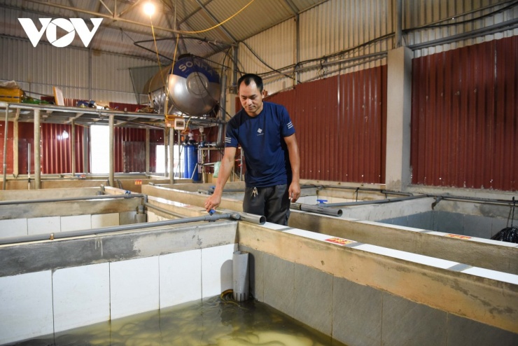 Toàn cảnh khu vực nuôi lươn trên tầng thượng