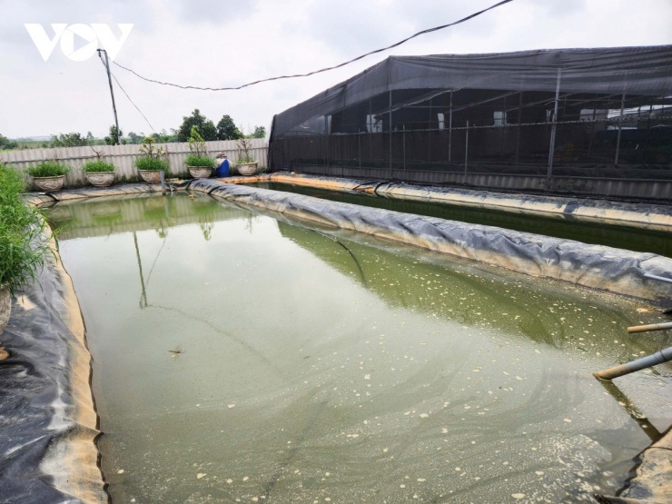 Khu vực bể xử lý nước cho lươn&nbsp;