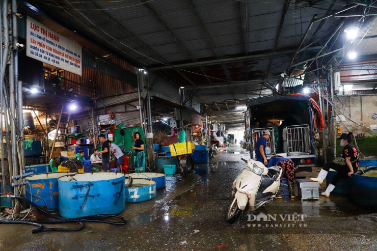 Từ năm 2008, UBND TP Hà Nội đã có Quyết định 2332/QĐ-UBND thu hồi 4.485 m2 đất nông nghiệp tại xứ Đồng Giếng giao cho Hợp tác xã (HTX) Dịch vụ nông nghiệp và thương mại Sở Thượng thuê 50 năm để xây dựng dự án Văn phòng làm việc, giao dịch giới thiệu sản phẩm và kho chứa hàng (gọi tắt là Khu trưng bày sản phẩm thủy sản 2).