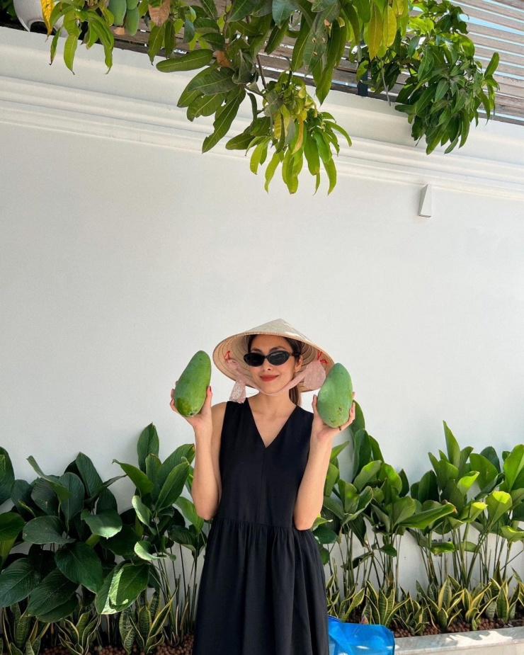 Diễn viên thu hoạch xoài.