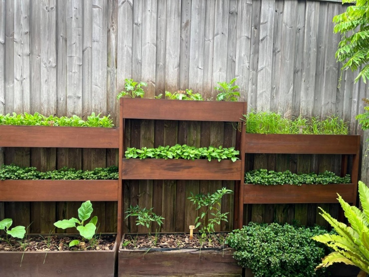 Vườn rau sạch trong biệt thự 500 m2 của Tăng Thanh Hà - 3