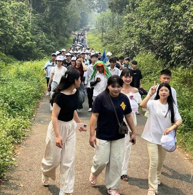 Cuối tuần lượng khách đổ về Cúc Phương trải nghiệm "săn bướm", check-in cây ráy "khổng lồ" với số lượng lớn. Ảnh: C.P