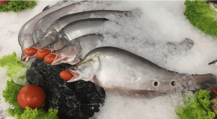 Đặc biệt, thác lác là loại cá giàu đạm, ít xương dăm, chứa nhiều axit amin thiết yếu