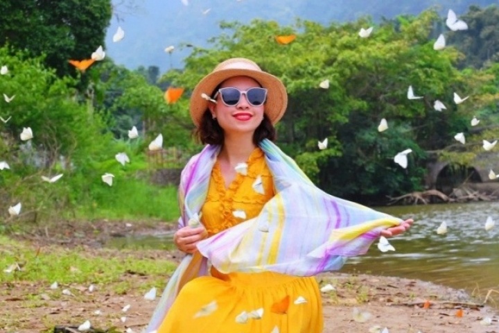 Du khách đổ xô vào rừng ‘săn bướm’, check-in cùng cây ráy 'khổng lồ’ ở Ninh Bình