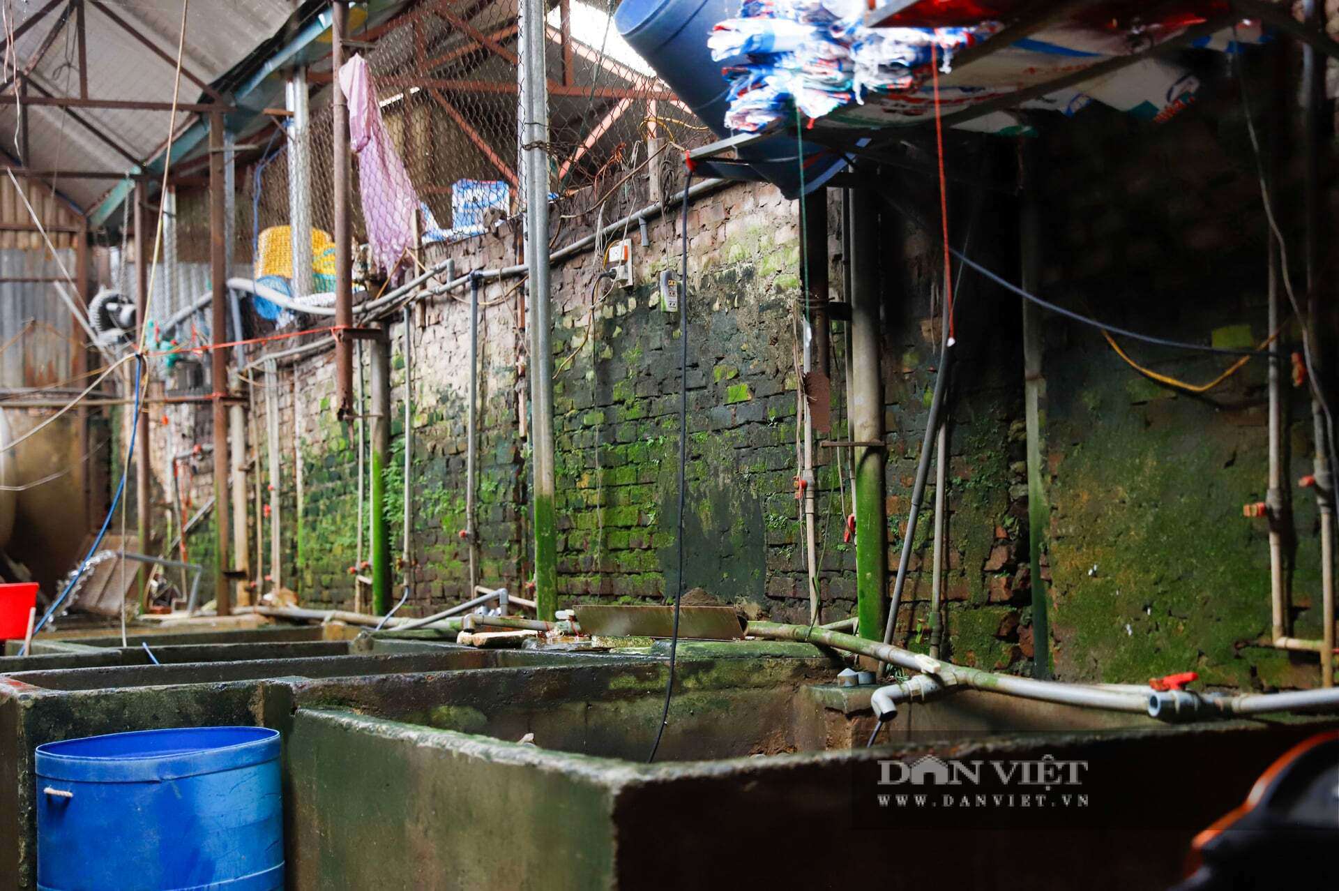 &nbsp;Nhiều mái che rách nát tơi tả; hệ thống điện chằng chịt, ổ cắm han gỉ bám đầy bụi bẩn, tường phủ kín rêu mốc, đặt cạnh môi trường ẩm ướt tạo ra nguy cơ chập cháy chực chờ.