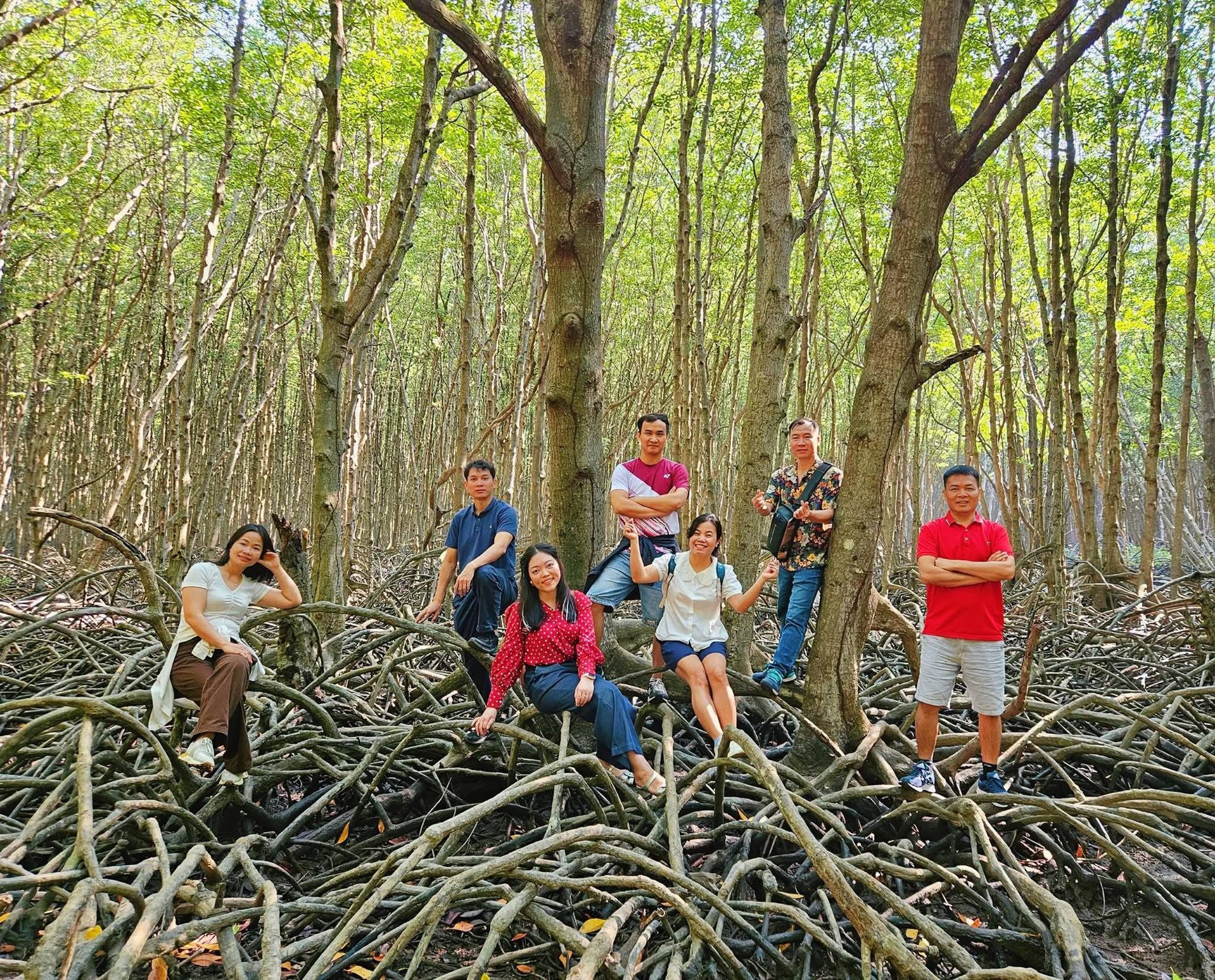 Cần Giờ được ví như một “ốc đảo xanh” gần TPHCM. Ảnh: Kha Lộc