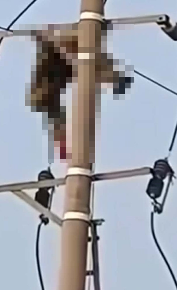 Hiện trường sự việc.