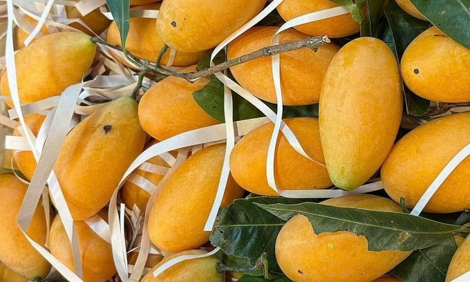 Thanh trà Thái Lan được bán tại cửa hàng trái cây ở phường Tân Thới Hiệp (TP HCM). Ảnh: Thi Hà