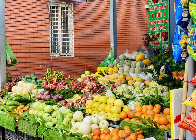 Nhiều loại hoa quả được bày bán để phục vụ nhu cầu của người tiêu dùng.