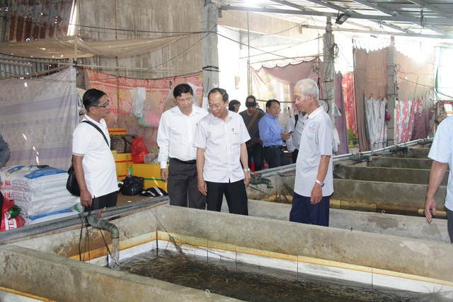 Ông Nguyễn Văn Sử (thứ 2 từ phải sang), Chủ tịch Hội Nông dân TP Cần Thơ, kiểm tra thực tế tại hộ nuôi lươn ở xã Vị Thuỷ