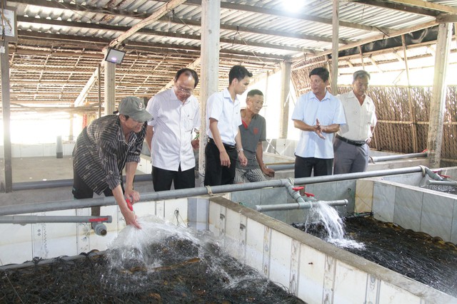 Hình ảnh hàng chục ngàn con lươn quá lứa, chưa được tiêu thụ ở Cần Thơ - 4