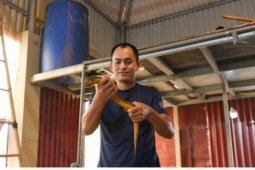 Mô hình nuôi lươn "độc lạ" trên tầng thượng ở Bắc Ninh, hiệu quả bất ngờ