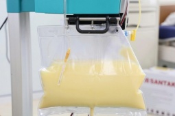 Mỡ máu cao gấp 20 lần, huyết tương đục như nước vo gạo