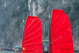 Sắp có tour du lịch thuyền buồm ba vách ven bờ vịnh Hạ Long