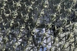 Lưới chống drone Darwin-Z Nga công nghệ ‘tự chữa lành’, thay đổi cuộc chơi phòng thủ