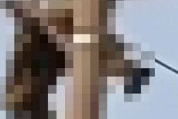 Nam sinh lớp 8 tử vong trên cột điện trung thế