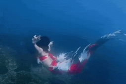 Diệp Lâm Anh 'hóa' nàng tiên cá khi lặn biển Nha Trang