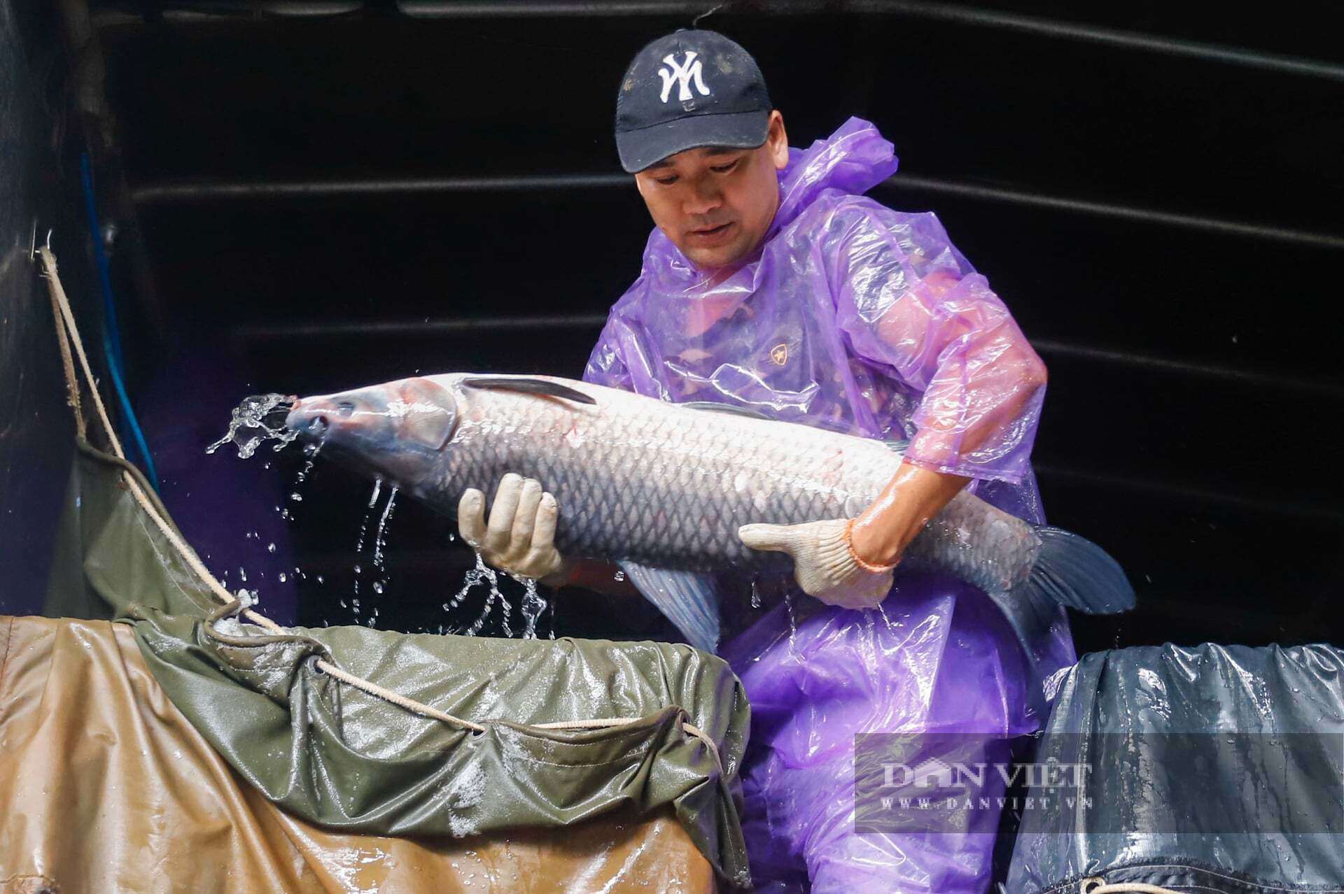 Thông tin về việc đảm bảo hoạt động kinh doanh cho các tiểu thương tại chợ cá Yên Sở sau khi di dời, Sở Công Thương Hà Nội đã đề nghị UBND thành phố Hà Nội cho phép Hợp tác xã Dịch vụ nông nghiệp và thương mại Sở Thượng được giữ nguyên hiện trạng tổ chức hoạt động kinh doanh thủy hải sản, từ đó bố trí các hộ kinh doanh vào buôn bán tại dự án, từ đó ổn định hoạt động kinh doanh.
