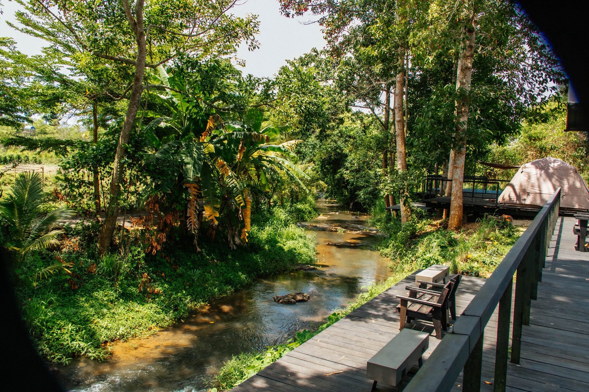 Khuôn viên xanh mát ở khu cắm trại cạnh suối Láng Lớn. Ảnh: Suối Camp