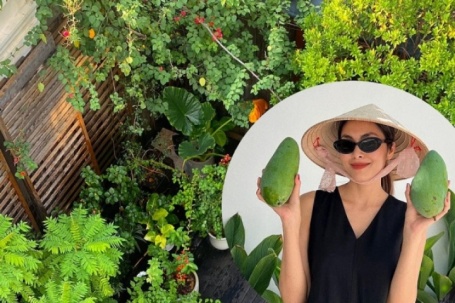 Vườn rau sạch trong biệt thự 500 m2 của Tăng Thanh Hà