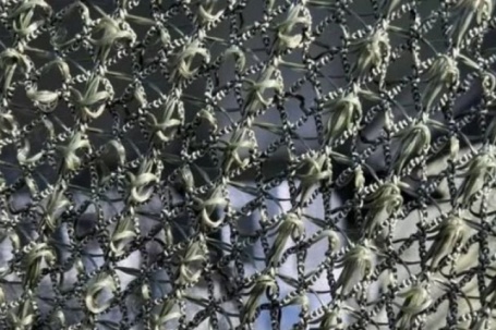 Lưới chống drone Darwin-Z Nga công nghệ ‘tự chữa lành’, thay đổi cuộc chơi phòng thủ