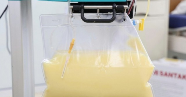 Mỡ máu cao gấp 20 lần, huyết tương đục như nước vo gạo